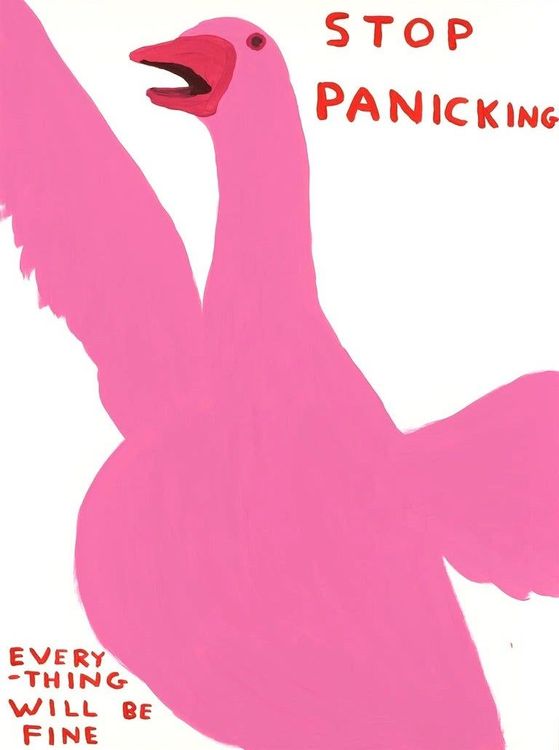 DAVID SHRIGLEY- STOP PANICKING