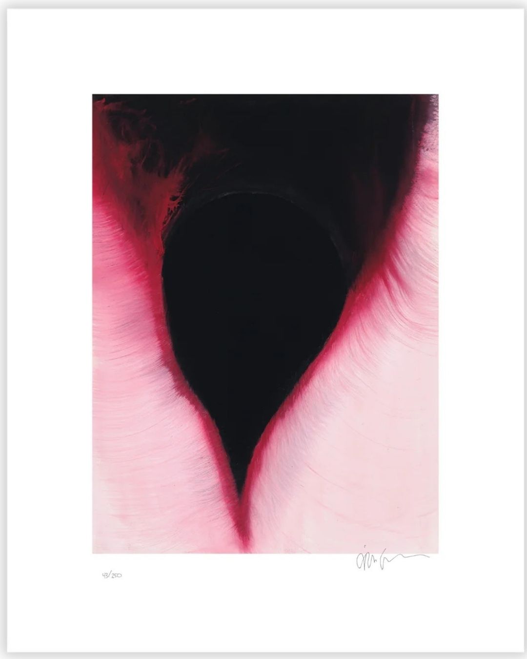 ANISH KAPOOR- THE DARK