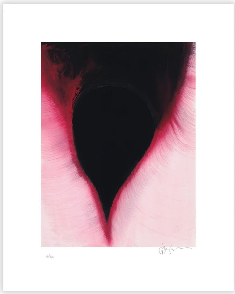 ANISH KAPOOR- THE DARK