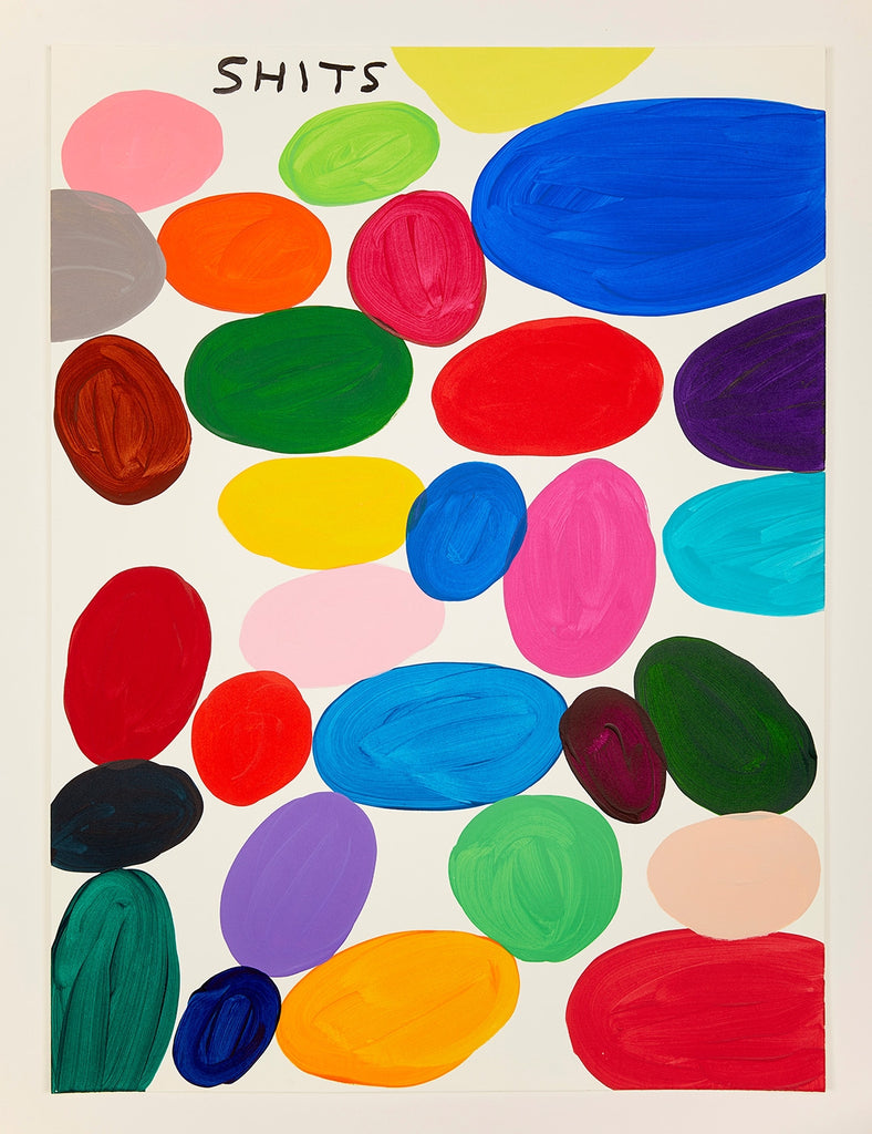 DAVID SHRIGLEY- SHITS