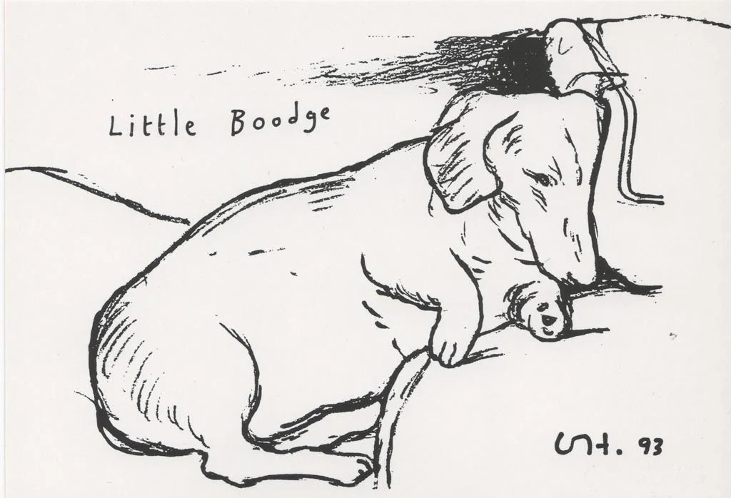 DAVID HOCKNEY- LITTLE BOODGE