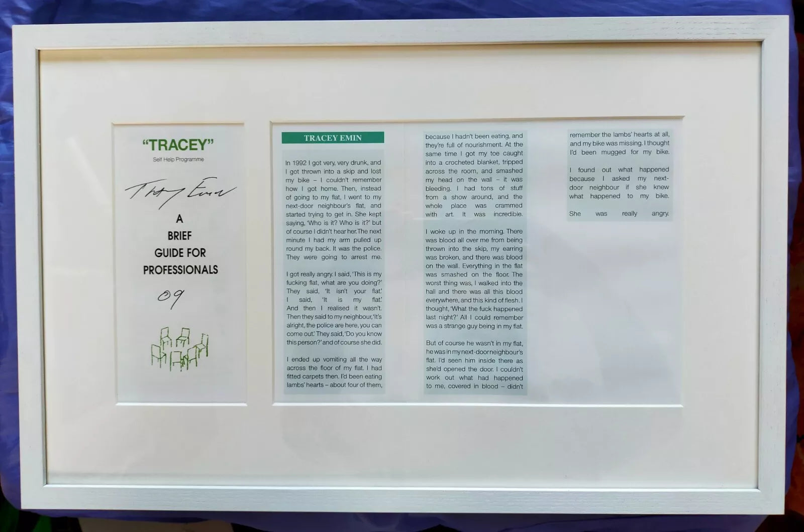 TRACEY EMIN- ‘A BRIEF GUIDE FOR PROFESSIONALS’ (19 RAPTURES PROJECT)