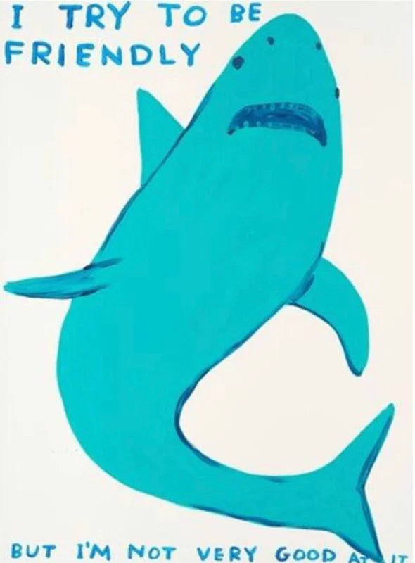 DAVID SHRIGLEY- I TRY TO BE FRIENDLY