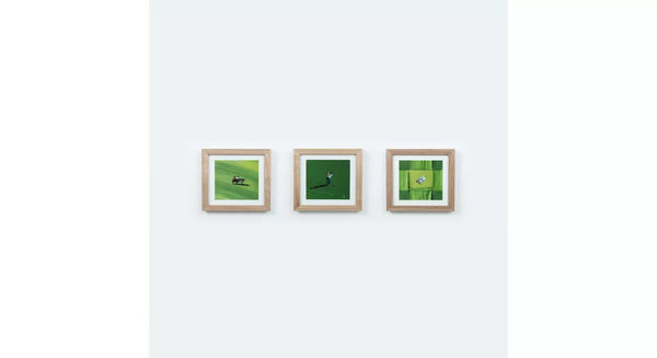 WERNER BRONKHORST- FORBIDDEN GRASS SET OF 3X MINI PRINTS