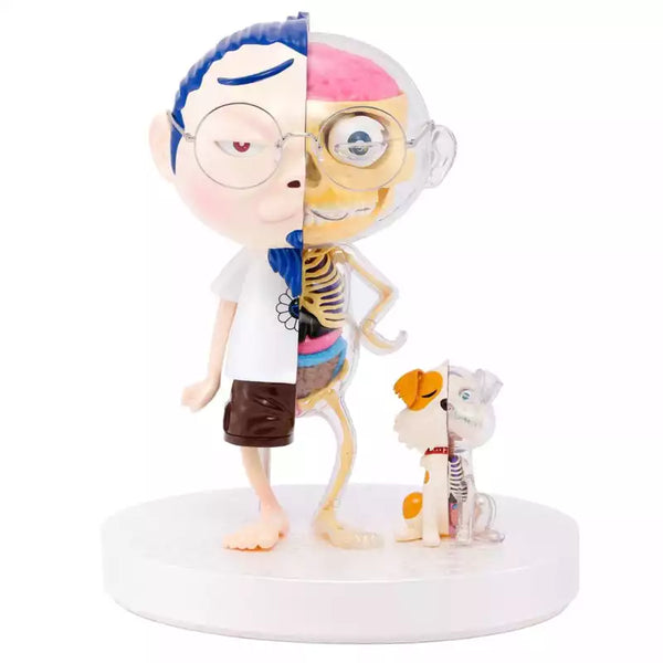 TAKESHI MURAKAMI POM & ME ANATOMICAL MODEL