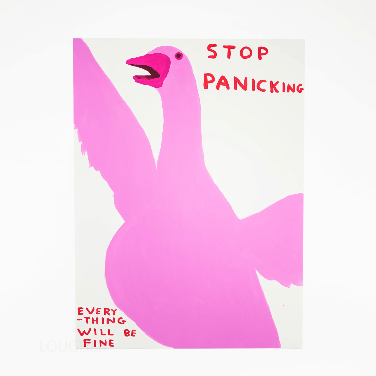 DAVID SHRIGLEY- STOP PANICKING