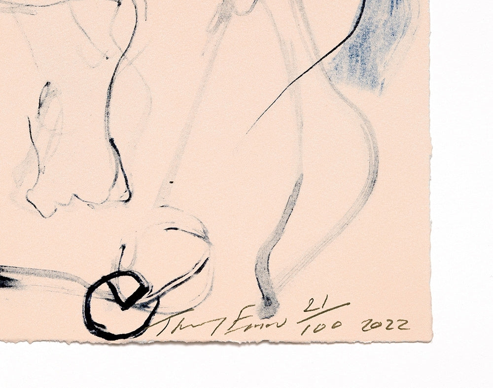 TRACEY EMIN- CURLED UP
