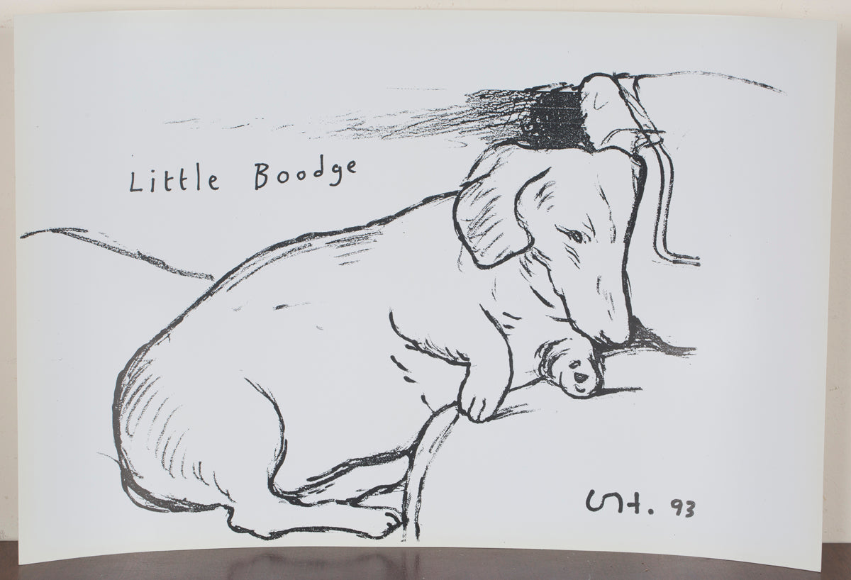 DAVID HOCKNEY- LITTLE BOODGE