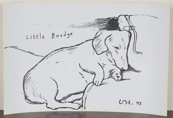 DAVID HOCKNEY- LITTLE BOODGE