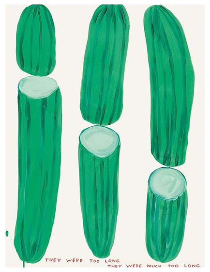 DAVID SHRIGLEY- FRUIT AND VEGETABLES SERIES