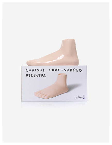 DAVID SHRIGLEY- A CURIOUS FOOT SCULPTURE