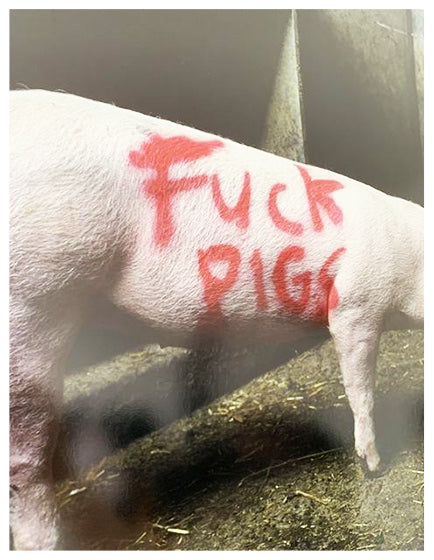 BANKSY” FUCK PIGS” HS BY LAZARIDES