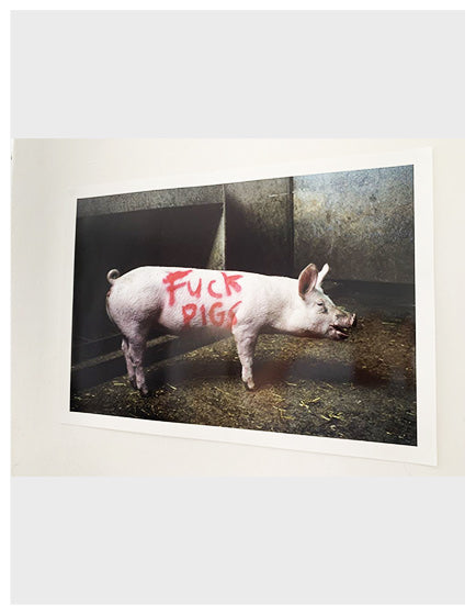 BANKSY” FUCK PIGS” HS BY LAZARIDES
