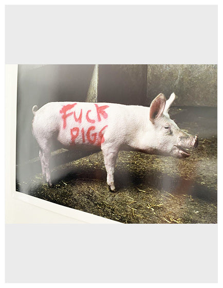 BANKSY” FUCK PIGS” HS BY LAZARIDES