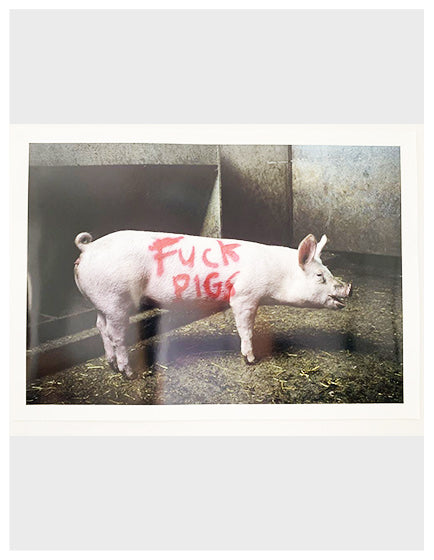 BANKSY” FUCK PIGS” HS BY LAZARIDES