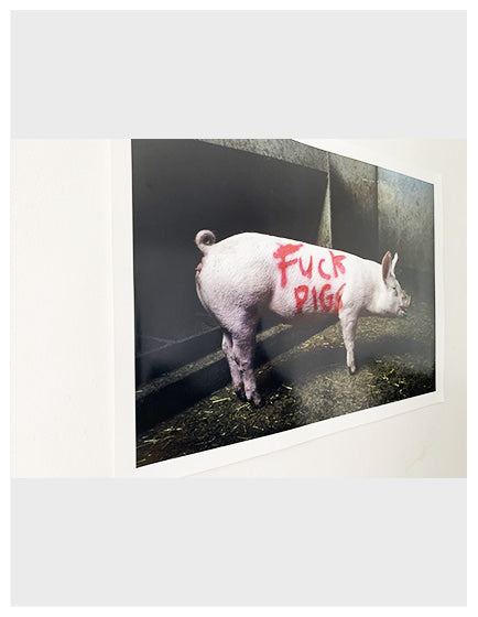 BANKSY” FUCK PIGS” HS BY LAZARIDES